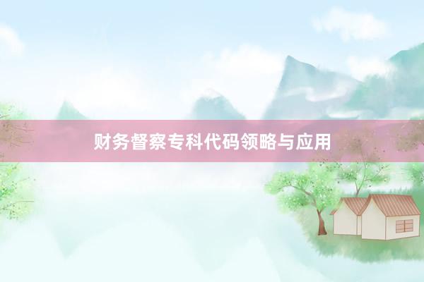 财务督察专科代码领略与应用